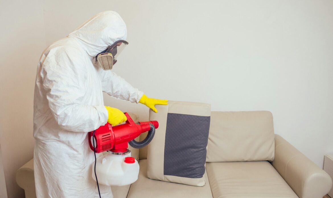 pest control worker in uniform spraying pesticides under couch in living lounge room