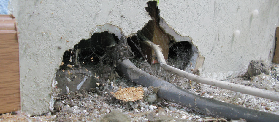 A pest control expert sealing an exterior wall crack to prevent pests from entering a home in Arizona.