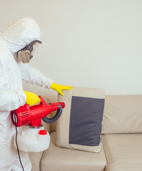 pest control worker in uniform spraying pesticides under couch in living lounge room